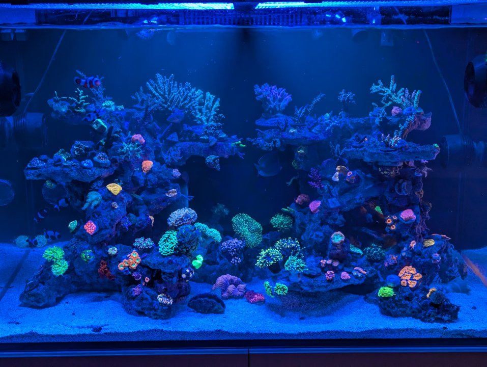 fts.jpg