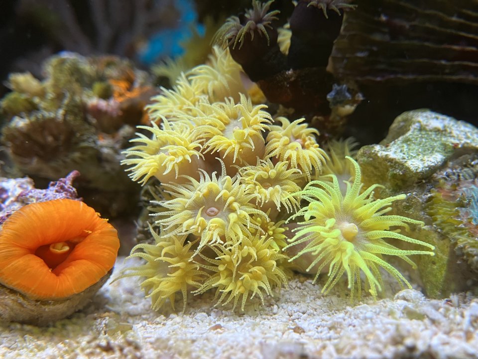 IMG_0269.jpeg