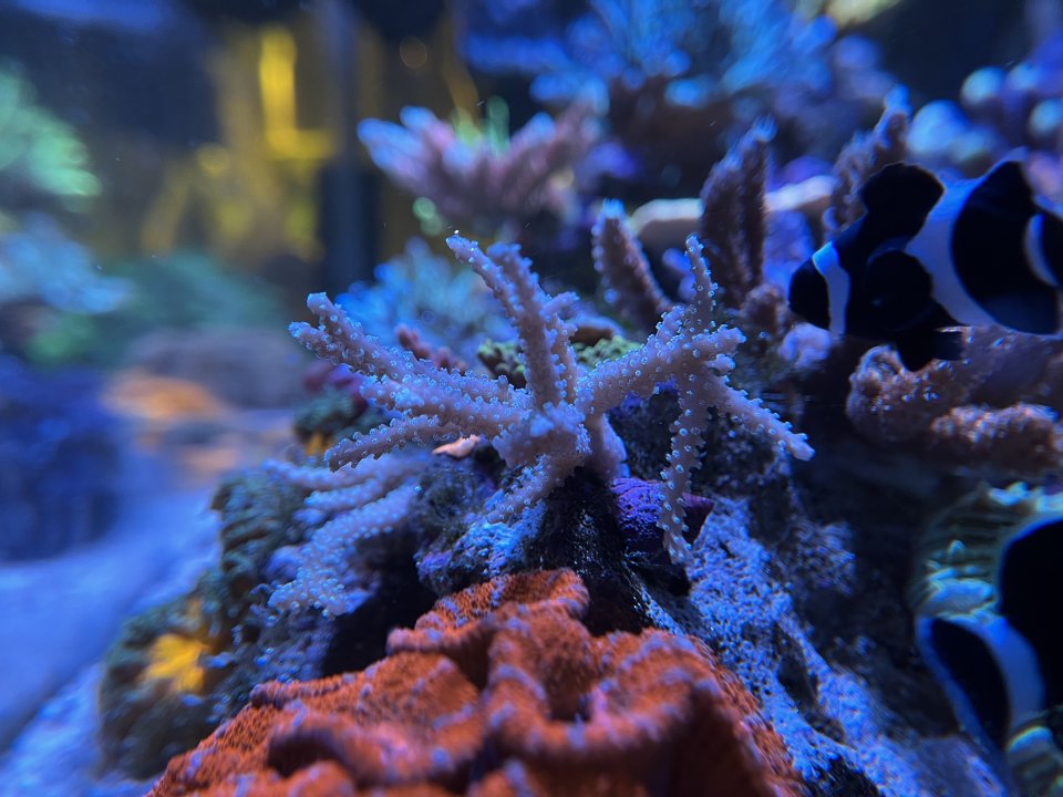 IMG_0708.jpeg