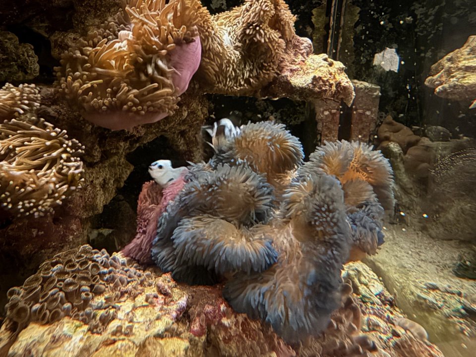 IMG_1466.jpg