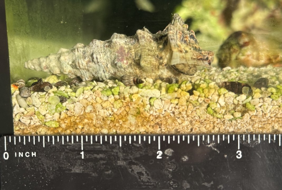 IMG_1510.jpeg