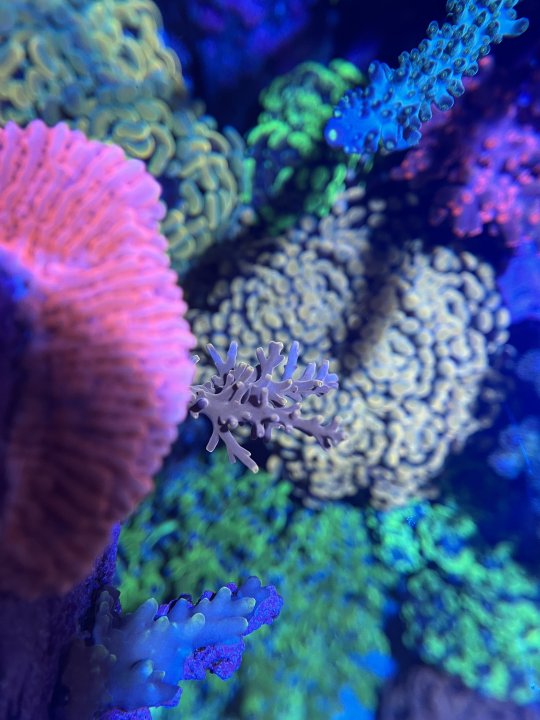 IMG_1835.jpeg