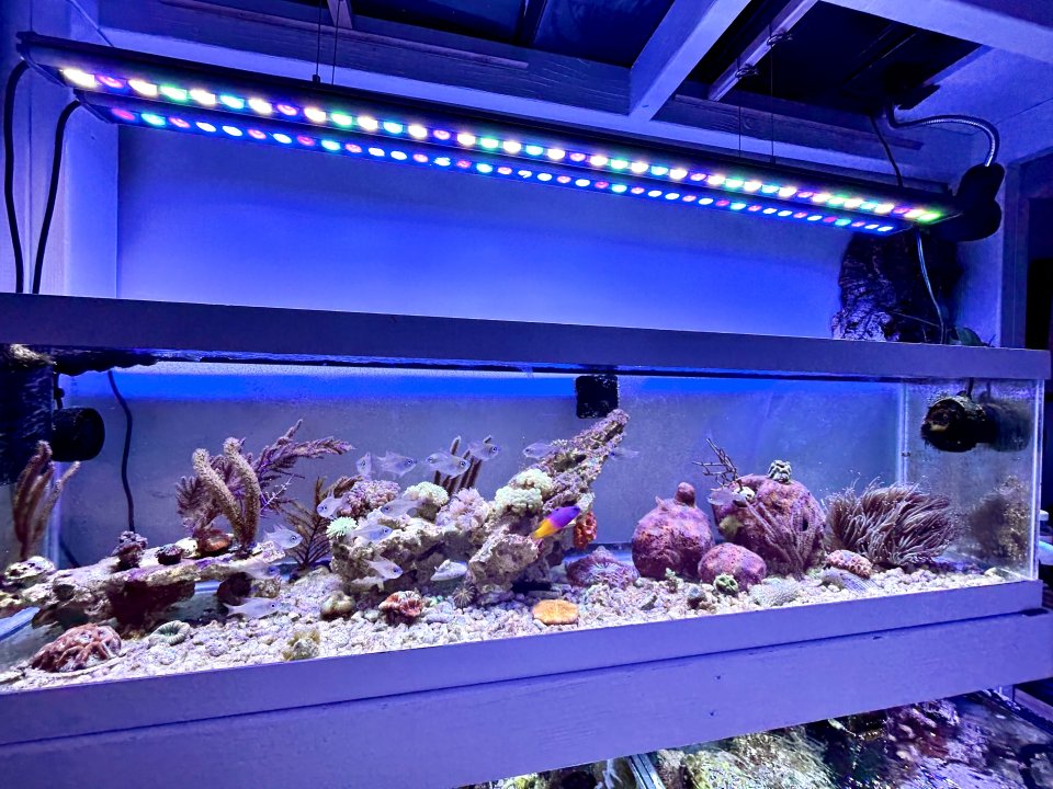 IMG_3644.jpeg IMG_3644.jpeg