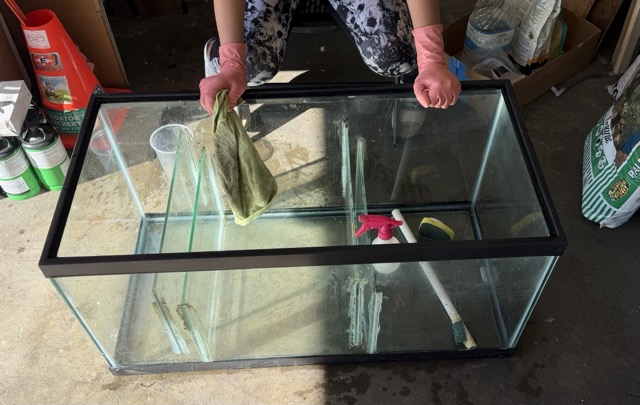 IMG_3691 Medium.jpeg