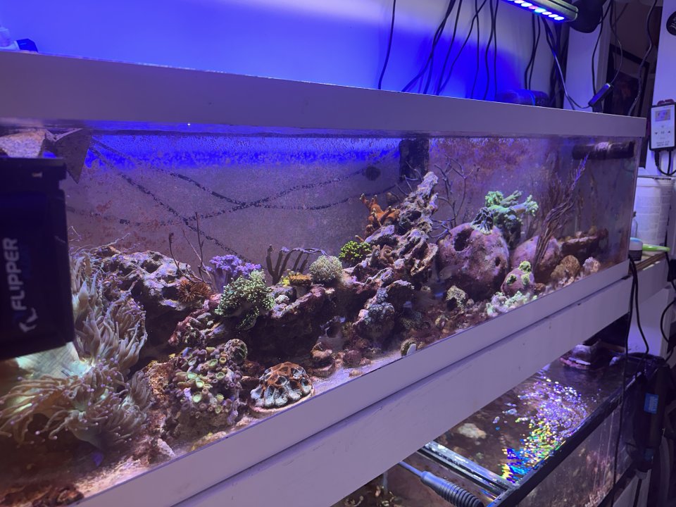 IMG_4622.jpeg IMG_4622.jpeg