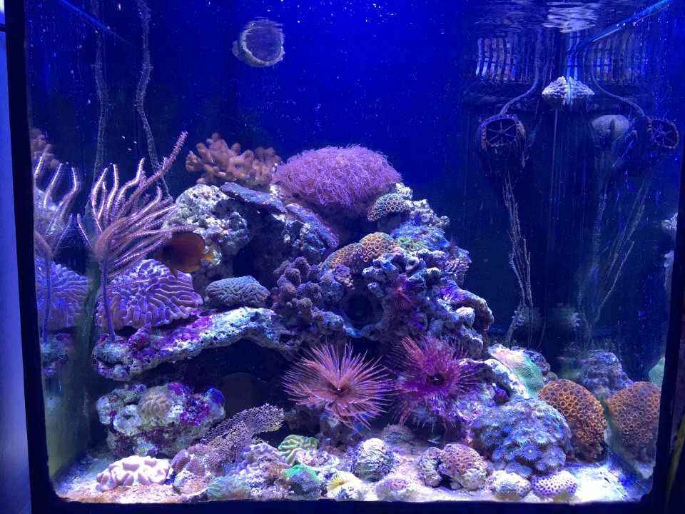 IMG_4733.jpeg IMG_4733.jpeg