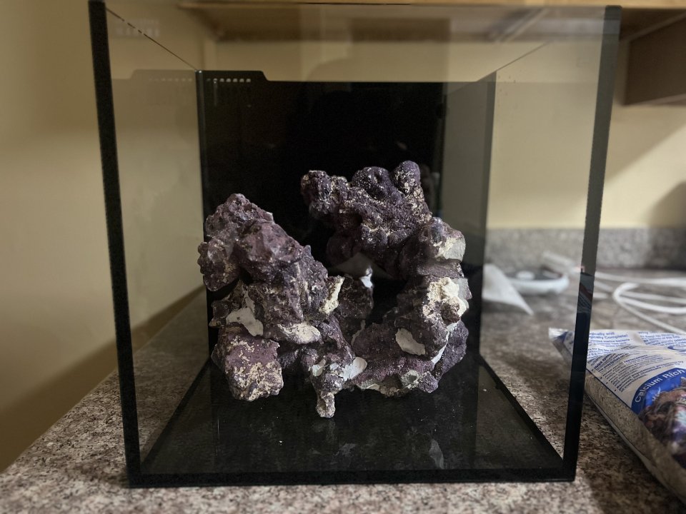 IMG_5683.jpeg