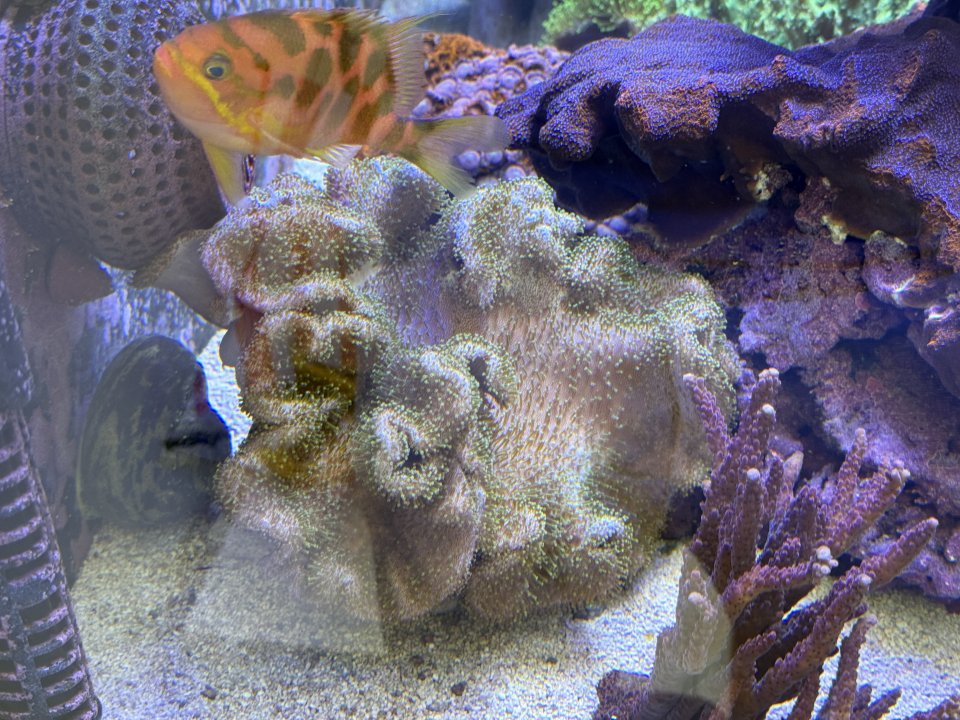 IMG_7461.jpeg