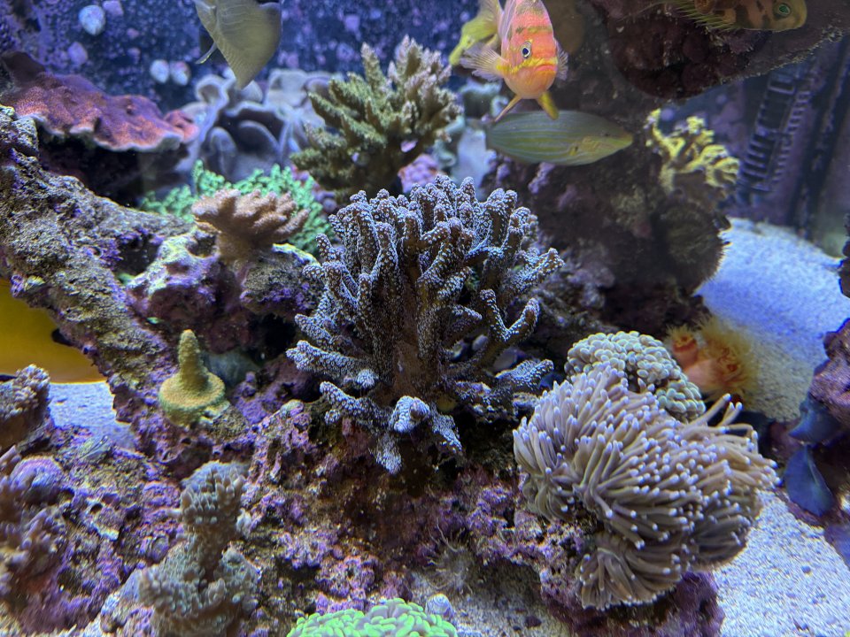 IMG_7724.jpeg