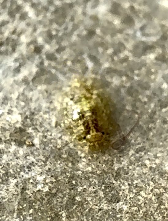 IMG_8056.jpeg