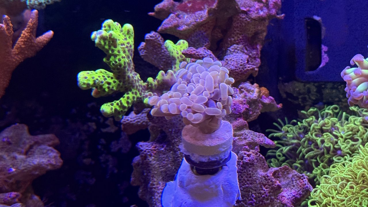IMG_8096.jpeg