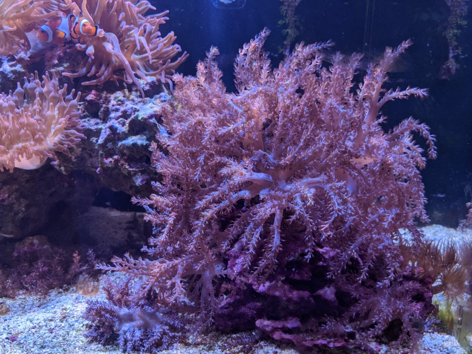 PXL_20210114_221653125.jpg