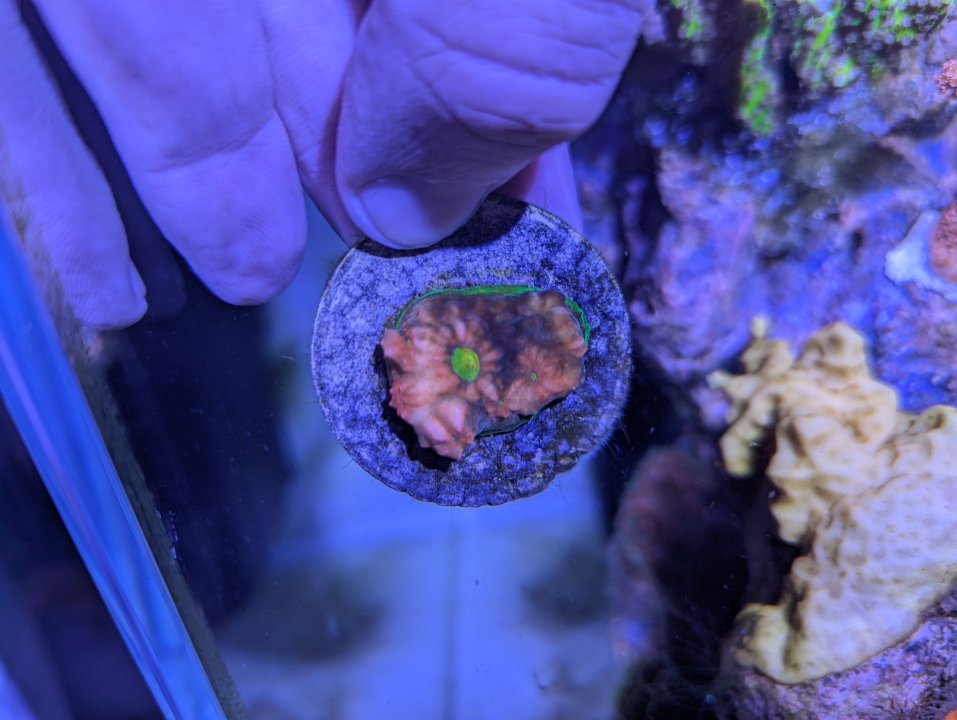 PXL_20241114_004216765.jpg