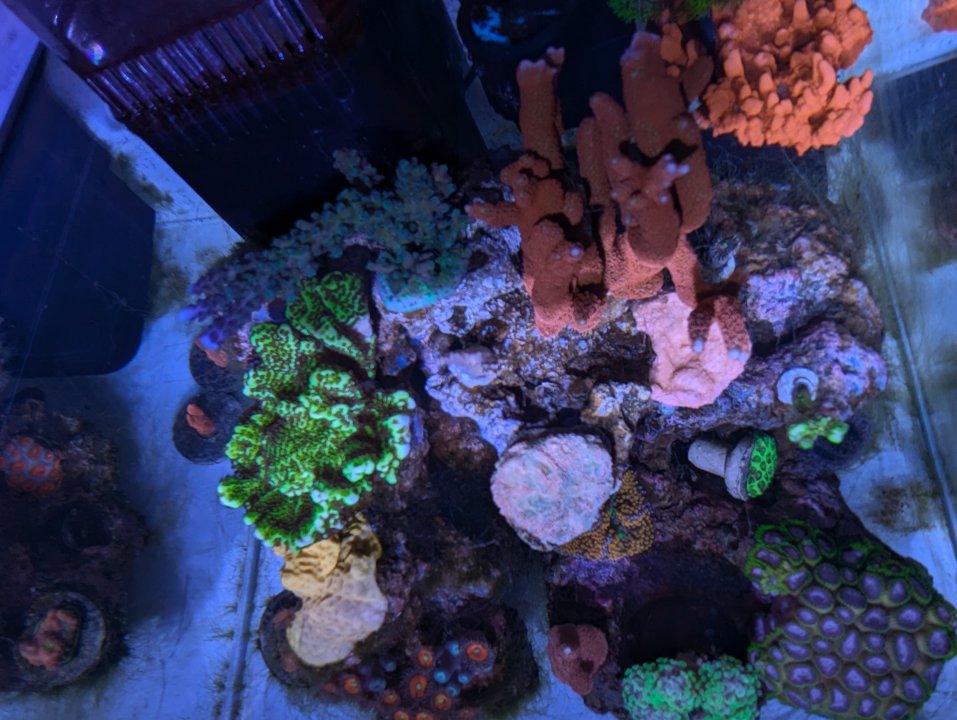 PXL_20250125_200356905.jpg