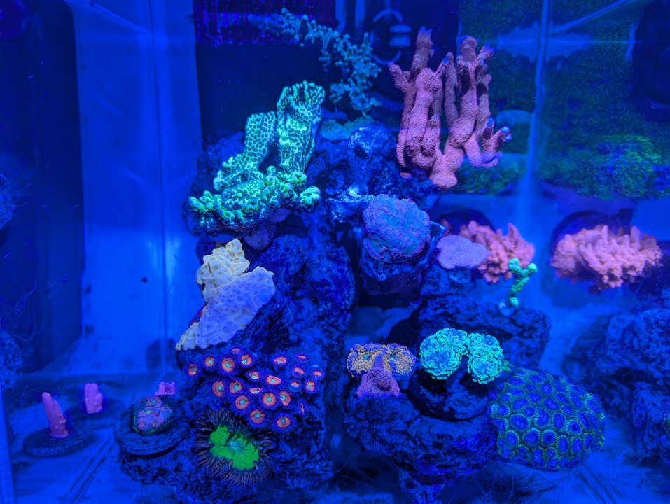 PXL_20250201_171754775.jpg