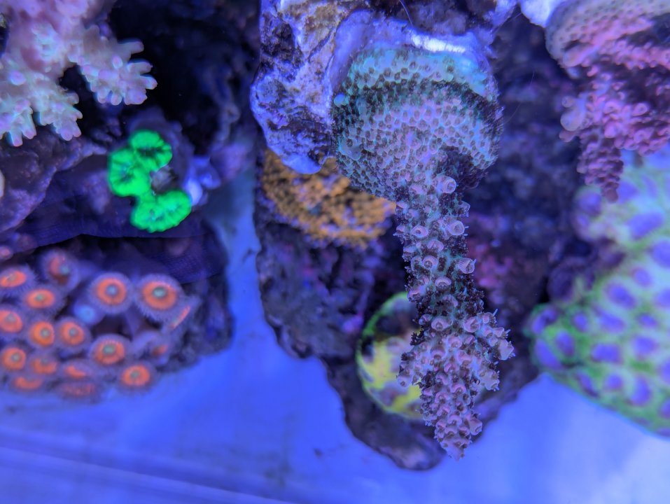 PXL_20250630_193233937.jpg