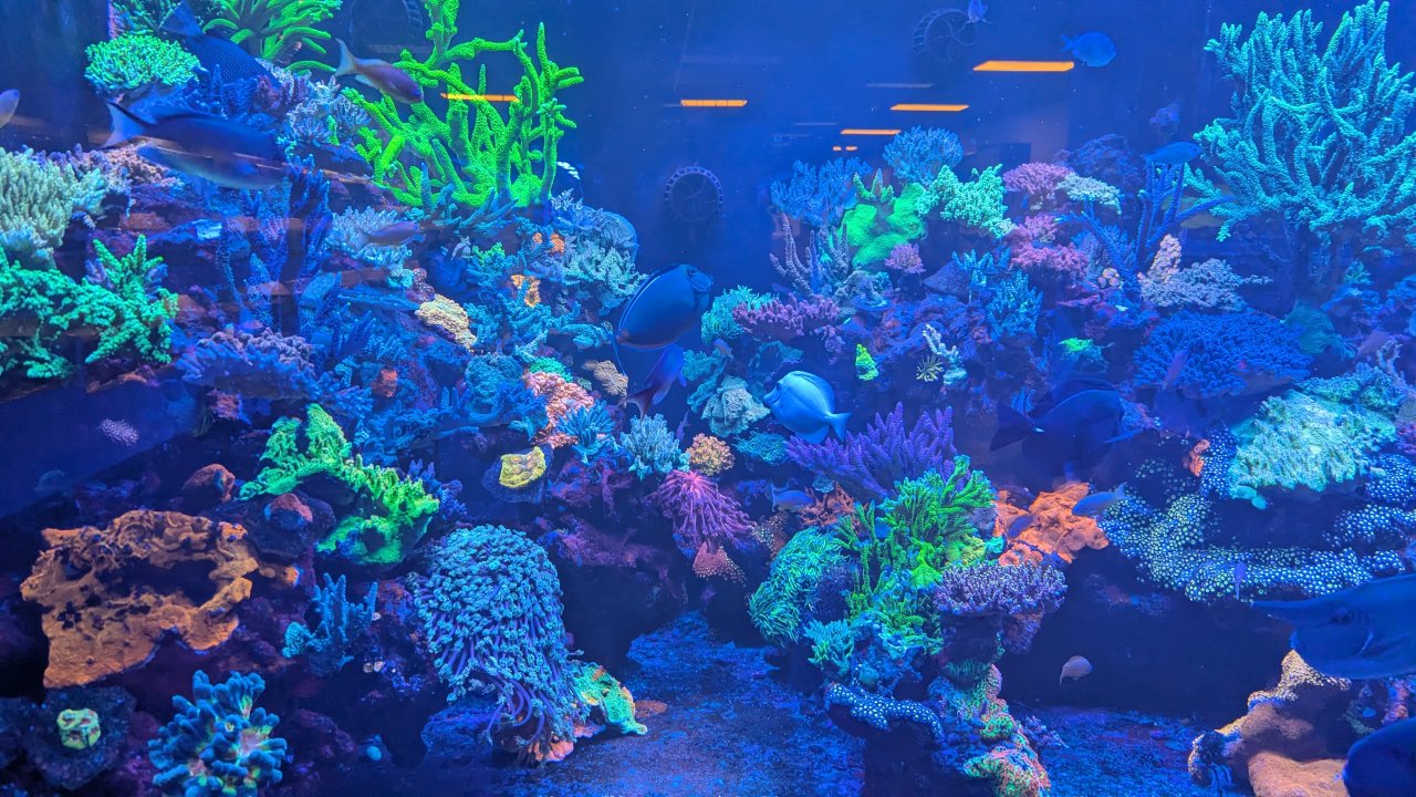 PXL_20251027_201524037.MP.jpg PXL_20251027_201524037.MP.jpg