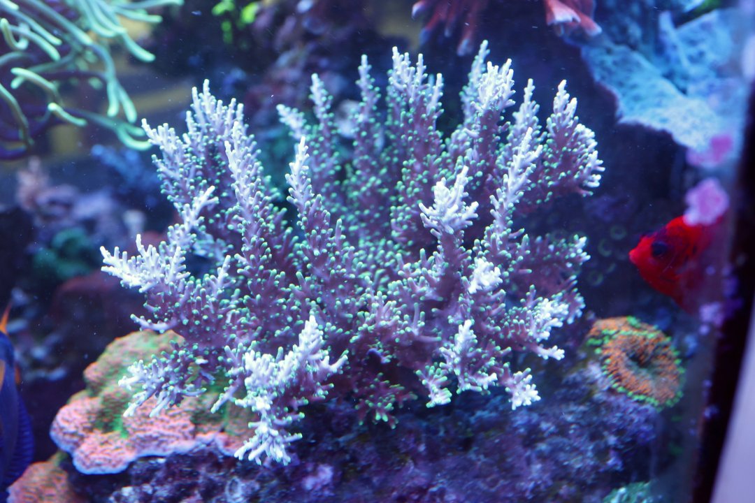RH5A2813.jpg