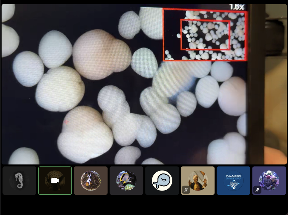 Screenshot 2025-11-12 at 8.54.53 PM.png