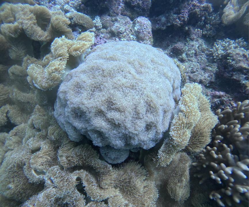 Screenshot 2025-12-08 at 10.09.03 AM.png