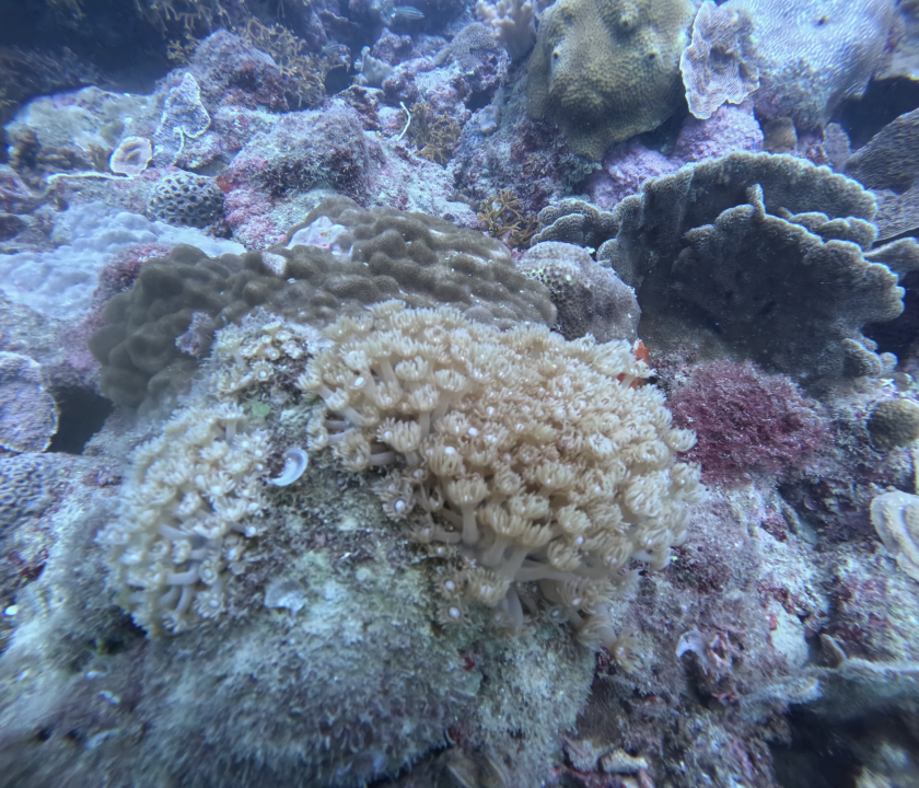 Screenshot 2025-12-08 at 10.10.32 AM.png