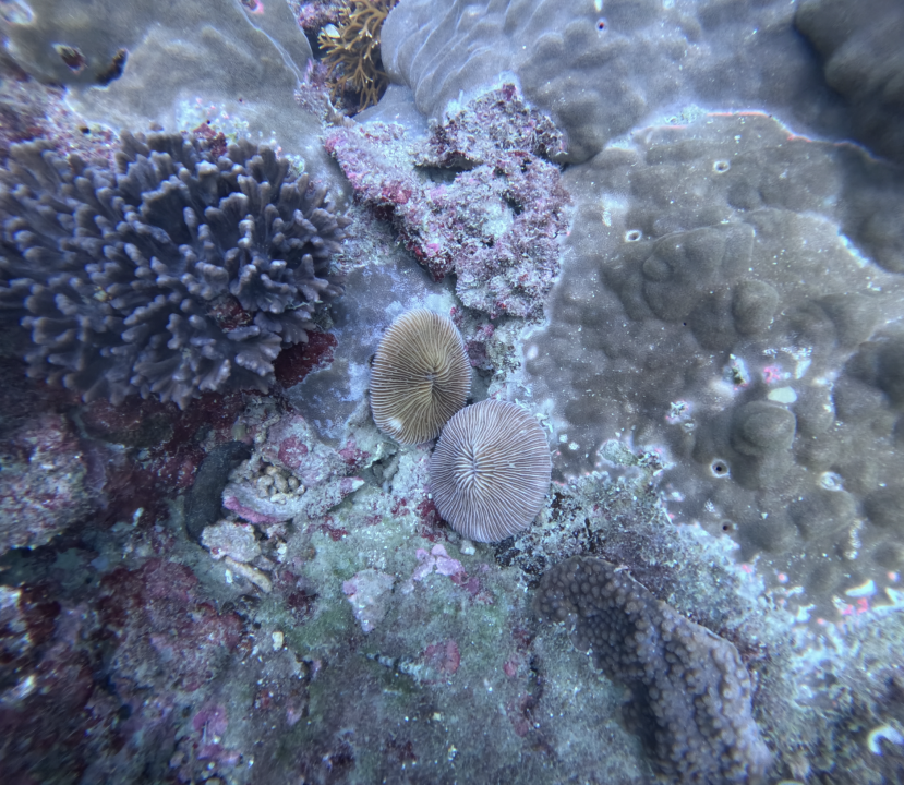 Screenshot 2025-12-08 at 10.10.43 AM.png