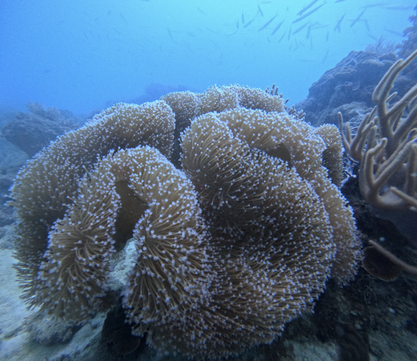 Screenshot 2025-12-08 at 10.11.02 AM.png