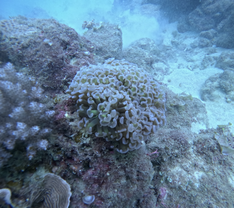 Screenshot 2025-12-08 at 10.11.11 AM.png