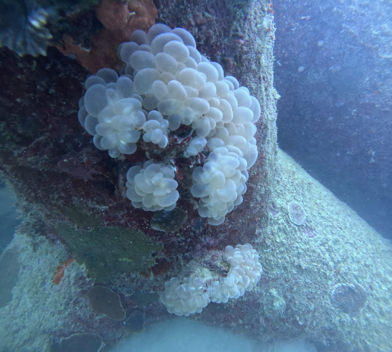 Screenshot 2025-12-08 at 10.11.38 AM.png