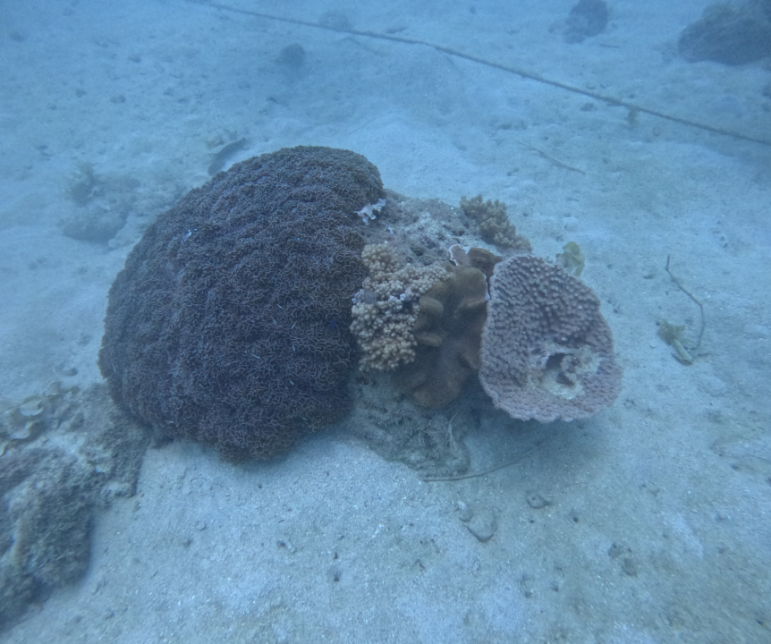 Screenshot 2025-12-08 at 10.11.50 AM.png