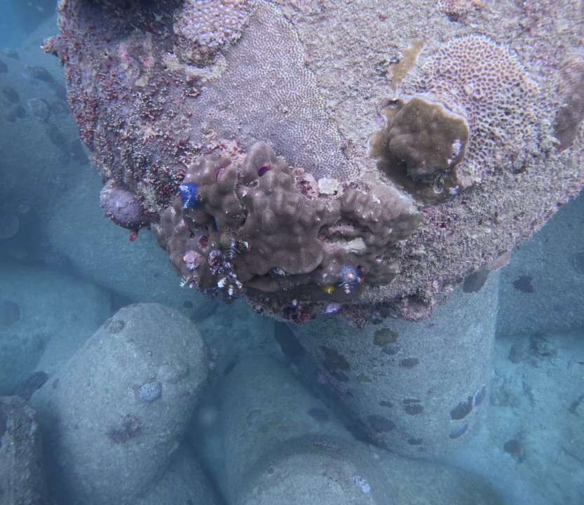 Screenshot 2025-12-08 at 10.12.17 AM.png