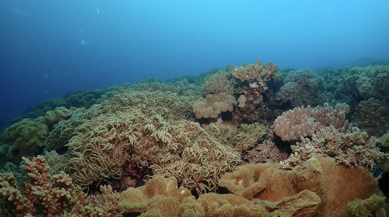 Screenshot 2025-12-08 at 12.51.59 PM.png