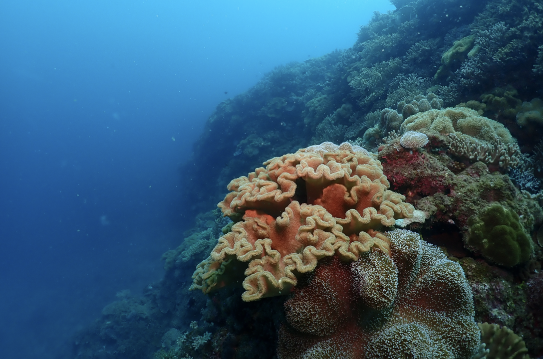 Screenshot 2025-12-08 at 12.52.16 PM.png