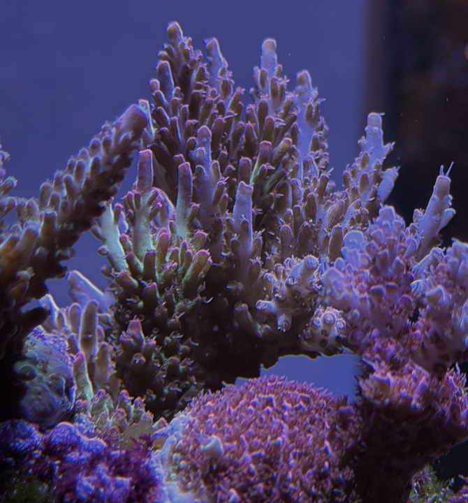 Screenshot 2026-01-04 at 8.43.13 PM.png