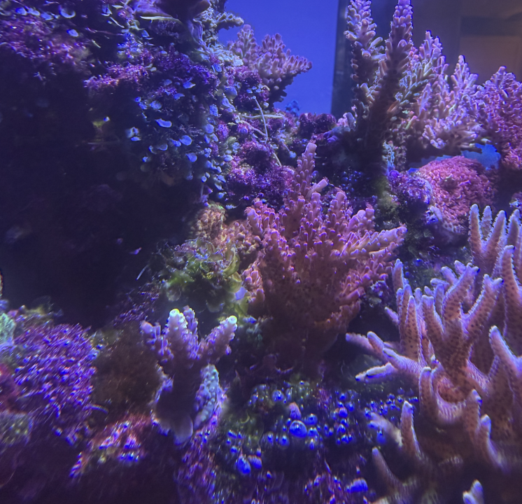 Screenshot 2026-02-22 at 6.25.27 PM.png