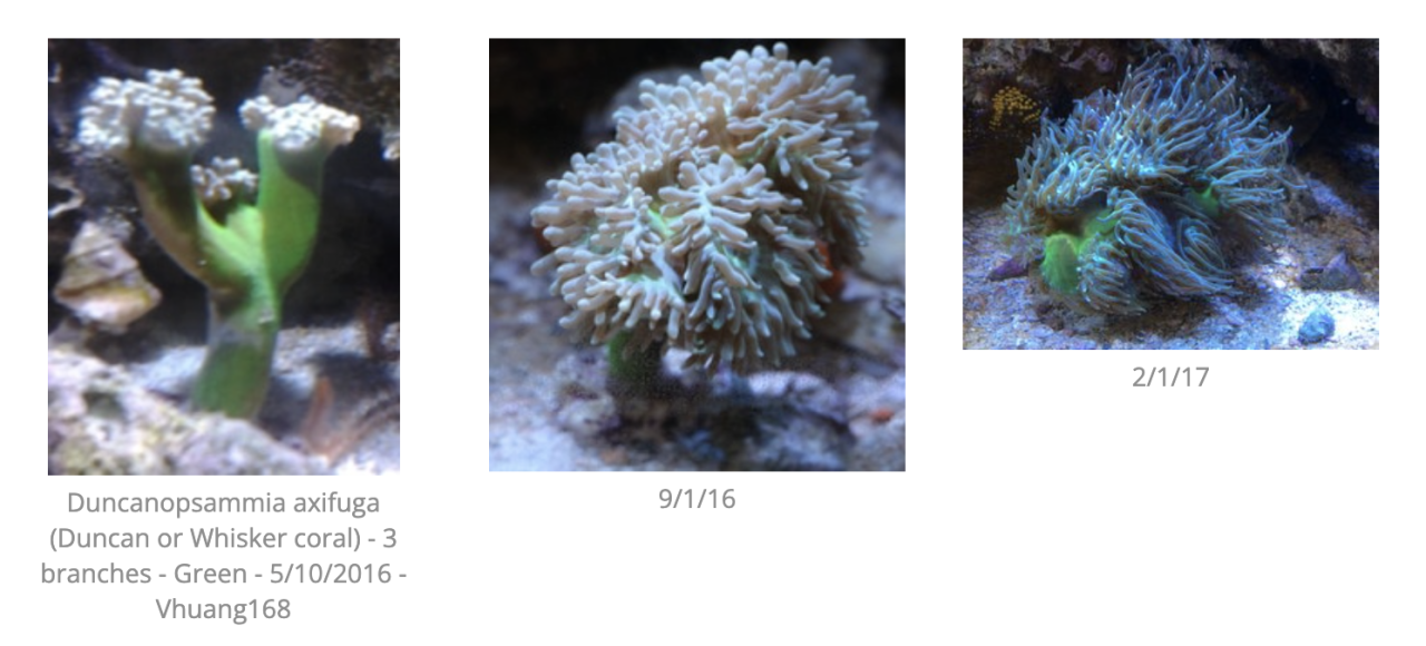 Screenshot 2026-04-07 at 9.30.41 AM.png