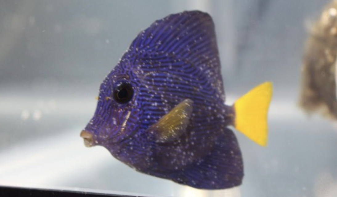 Screenshot 2026-04-10 at 2.13.39 PM.png