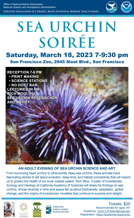 Sea Urchin Soiree March 2023 11x18 Purple Urchin.png