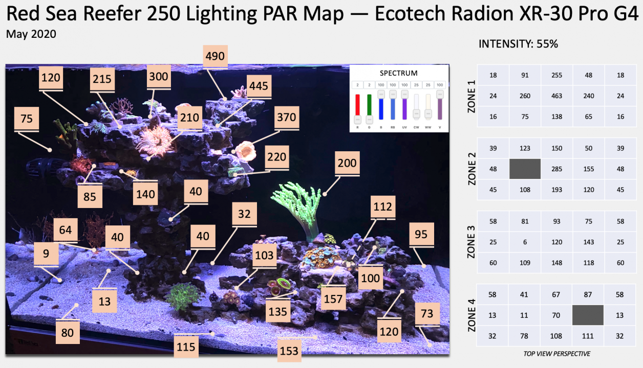 Squist RSR 250 Lighting PAR Map — Ecotech Radion XR-30 Pro G4 2020-05-23.png