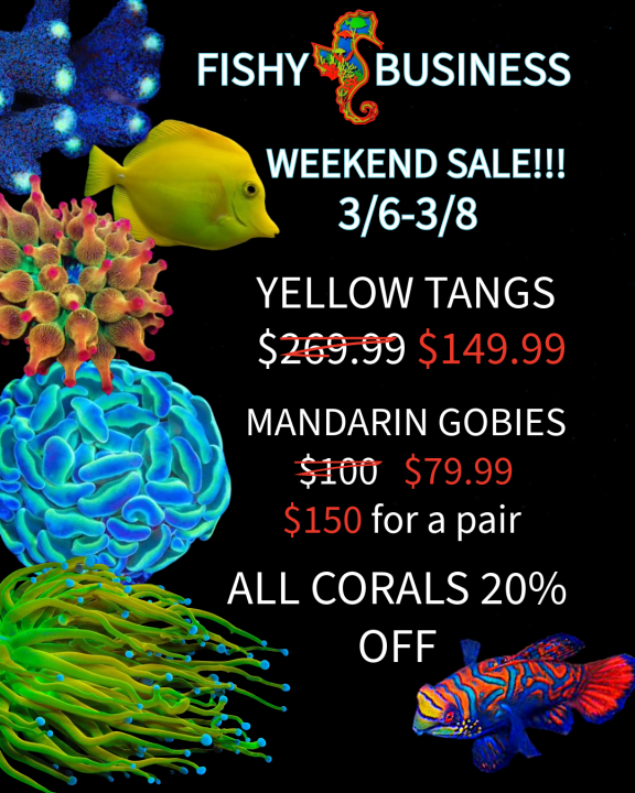 Untitled - 2026-03-03T151749.852.png