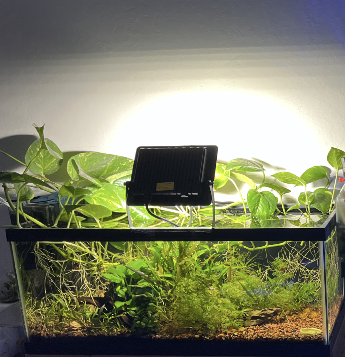 View recent photos.png