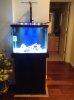 37 gal nano-4.jpeg