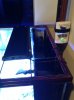 37 gal nano-3.jpeg