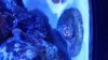 20140423_144855.jpg