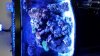 20140423_185006.jpg