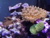 IMG_3169.JPG