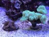 IMG_3172.JPG