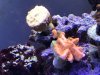 IMG_3184.JPG