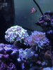 IMG_3843.JPG