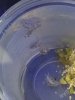 IMG_20200225_100928521.jpg